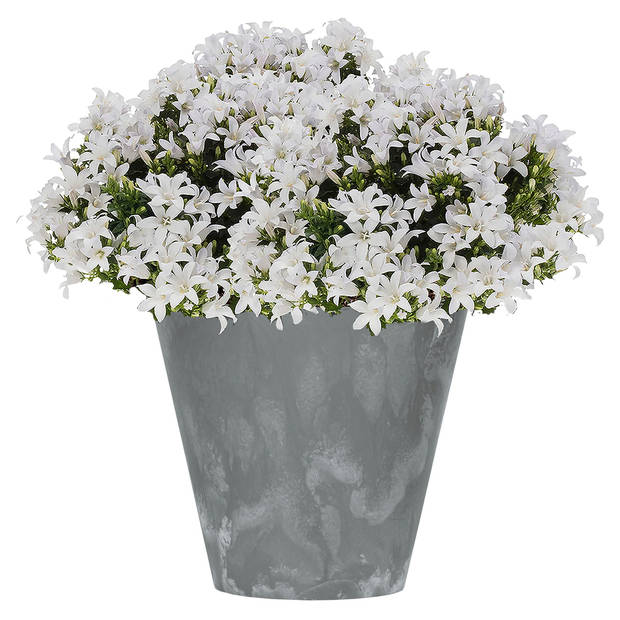 Kunststof bloempot/plantenpot betonlook 40 cm grijs - Plantenpotten