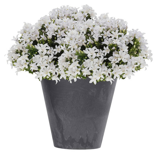 Kunststof bloempot/plantenpot betonlook 25 cm antraciet grijs - Plantenpotten