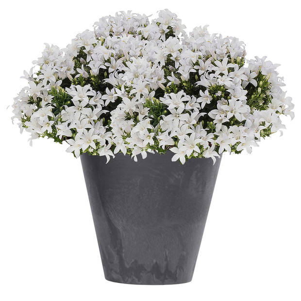 Kunststof bloempot/plantenpot betonlook 20 cm antraciet grijs - Plantenpotten