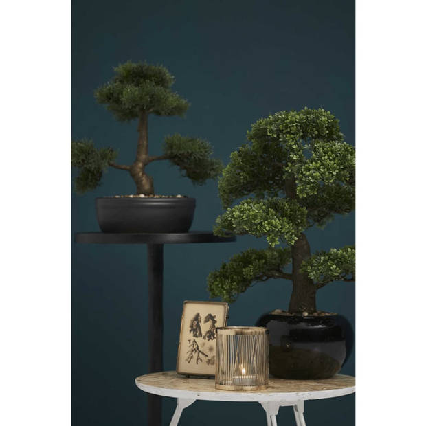Bonsai boompje Ficus Retusa kunstplant in kunststof pot 47 cm - Kunstplanten