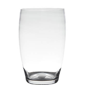 Transparante home-basics vaas/vazen van glas 20 x 15 cm Naomi - Vazen