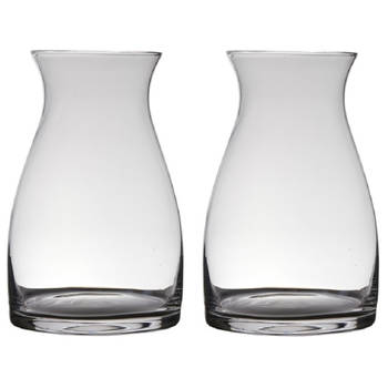 Set van 2x stuks transparante home-basics vaas/vazen van glas 30 x 19 cm Julia - Vazen