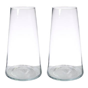 Set van 2x stuks transparante home-basics vaas/vazen van glas 35 x 18 cm Donna - Vazen
