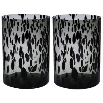 Set van 2x stuks modieuze bloemen cylinder vaas/vazen van glas 30 x 19 cm zwart fantasy - Vazen