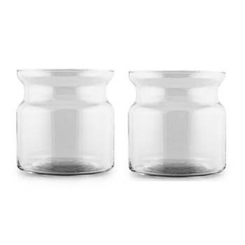 Set van 2x stuks transparante home-basics vaas/vazen van glas 19 x 19 cm Brenda - Vazen