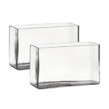 Set van 2x stuks transparante rechthoek accubak vaas/vazen van glas 25 x 10 x 15 cm - Vazen