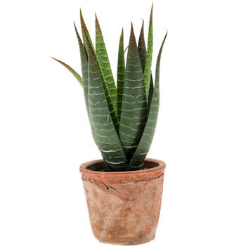 Aloe Vera nepplant in terracotta pot 23 cm - Kunstplanten
