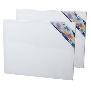 2x stuks canvas schildersdoeken 50 x 40 cm voor hobby verven/schilderen - Schildersdoeken