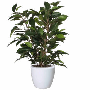 Groene ficus kunstplant 40 cm met plantenpot glanzend wit D13.5 en H12.5 cm - Kunstplanten