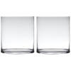 Set van 2x stuks transparante home-basics cylinder vorm vaas/vazen van glas 30 x 25 cm - Vazen