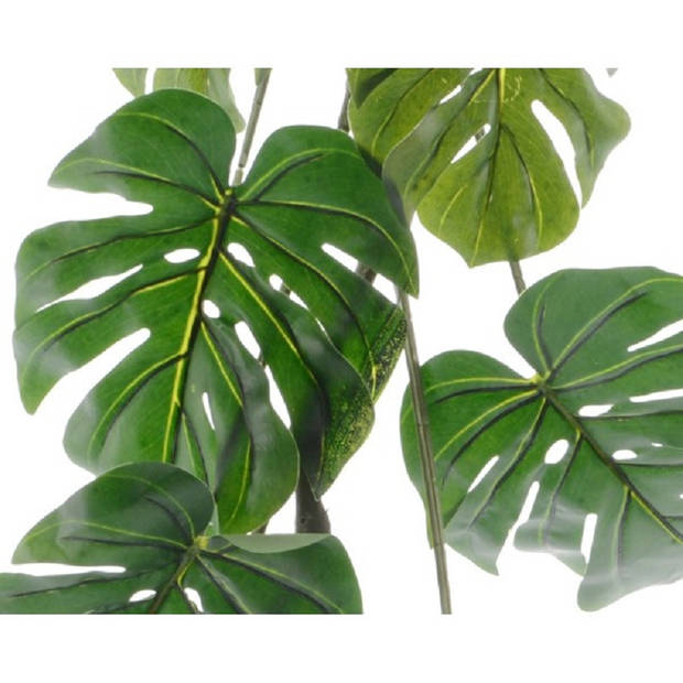 Everlands Monstera/gatenplant kunstplant slinger - 180 cm - groen - Kunstplanten