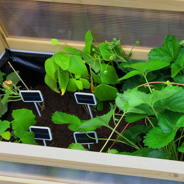 AXI kweektafel van hout met gronddoek & broeikas Moestuintafel / moestuinbak voor buiten / tuin / balkon / terras /