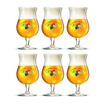 La Chouffe Bierglazen - 250 ml - 6 stuks