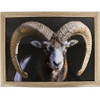 Schootkussen/laptray ram/schaap print 33 x 43 cm - Dienbladen