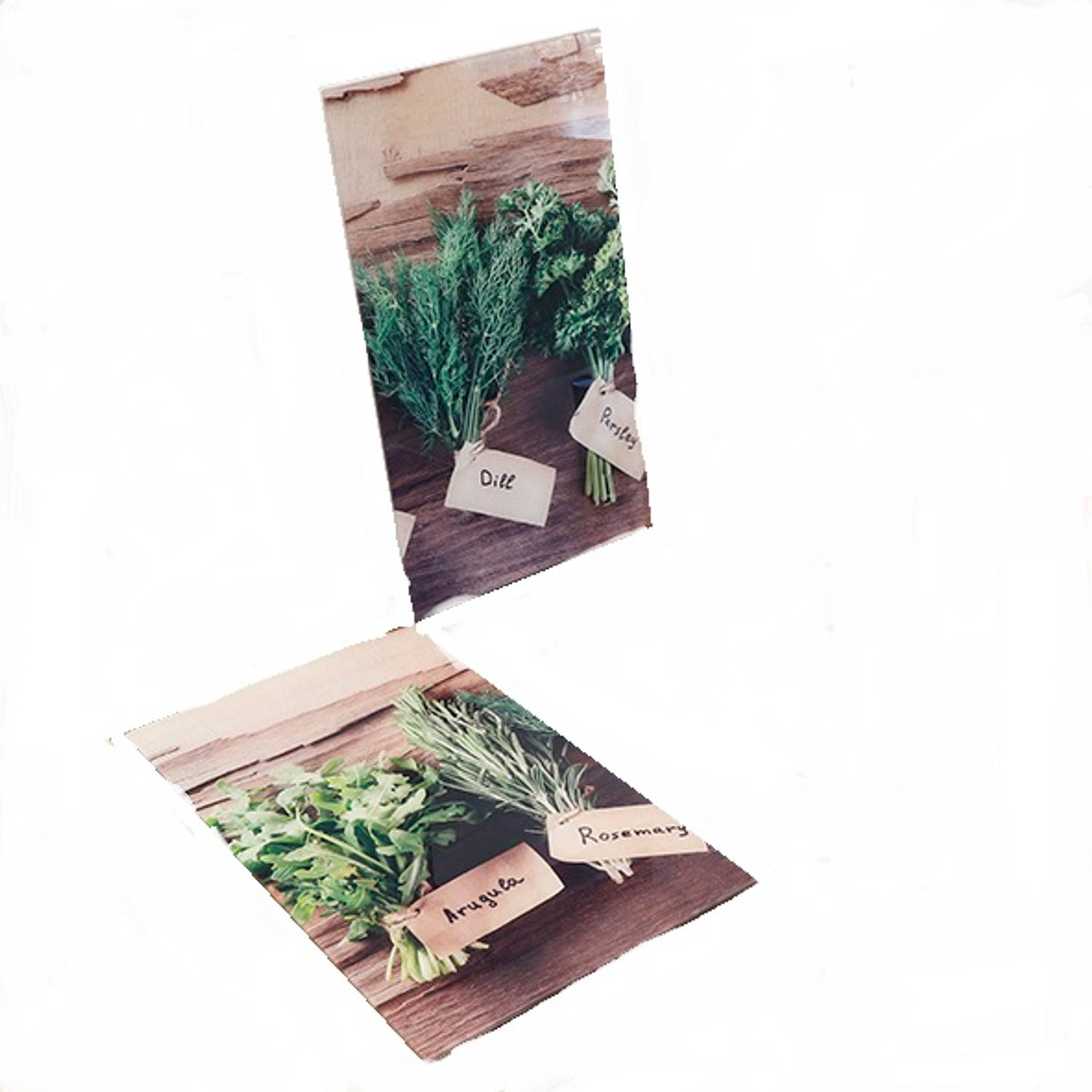 Haushalt 28024 - Afdek kookplaten - 2 stuks - kruidenplanten