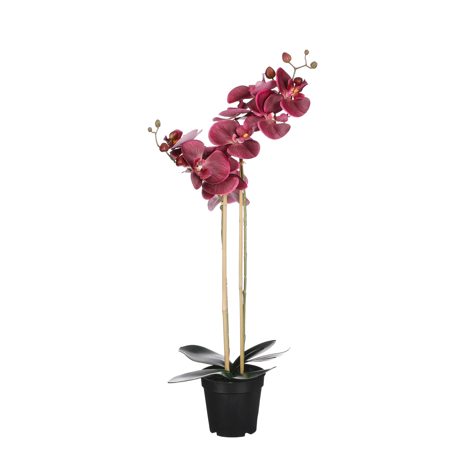 Kunstplant Orchidee in pot bordeaux 70cm