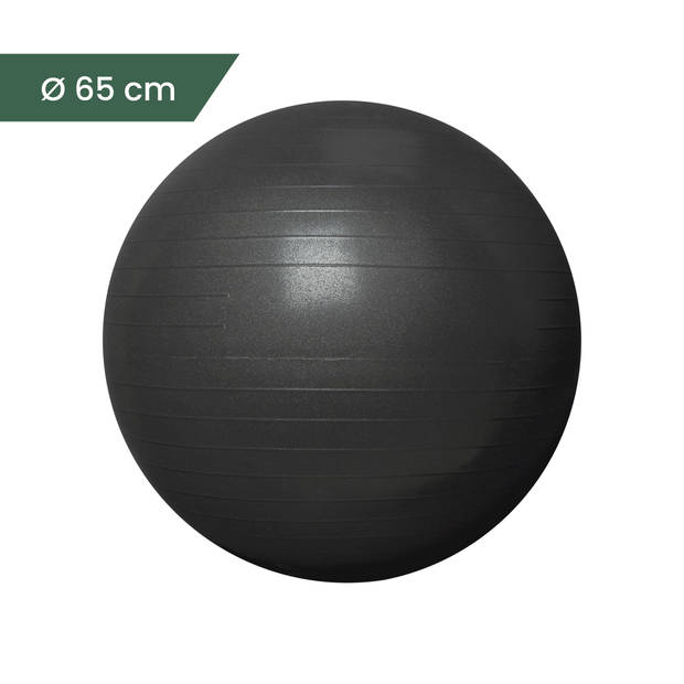 RYZOR Fitness/gym bal - 65 CM - Zwart