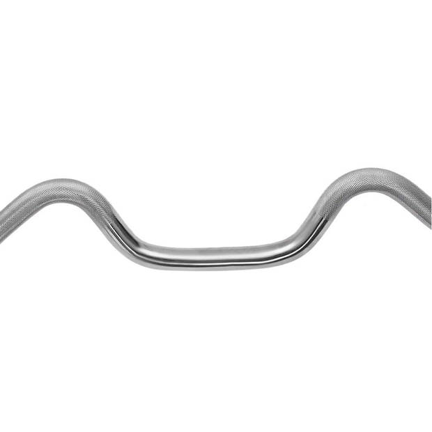 NordFalk olympische curl halterstang 120 cm x 30mm - Curlbar / curlstang met veersluiting