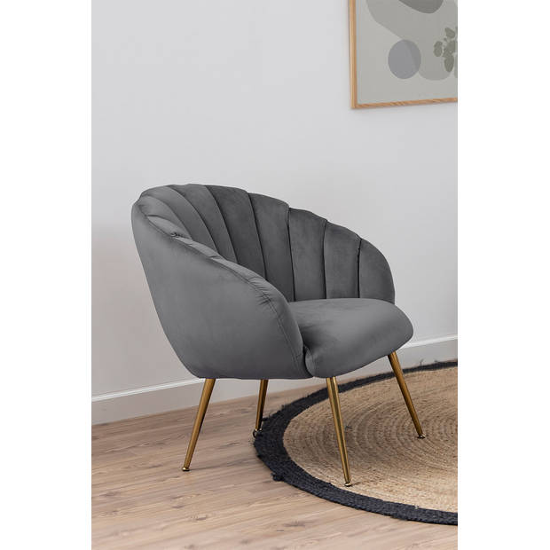 Dany fauteuil loungestoel donkergrijs, messingkleurig.