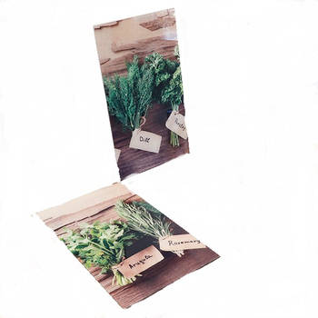 Haushalt 28024 - Afdek kookplaten - 2 stuks - kruidenplanten