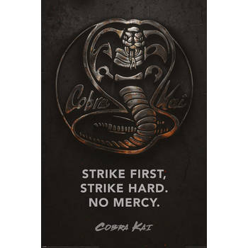 Poster Cobra Kai Metal 61x91,5cm