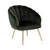 Dano fauteuil lounge fauteuil groen, messing.