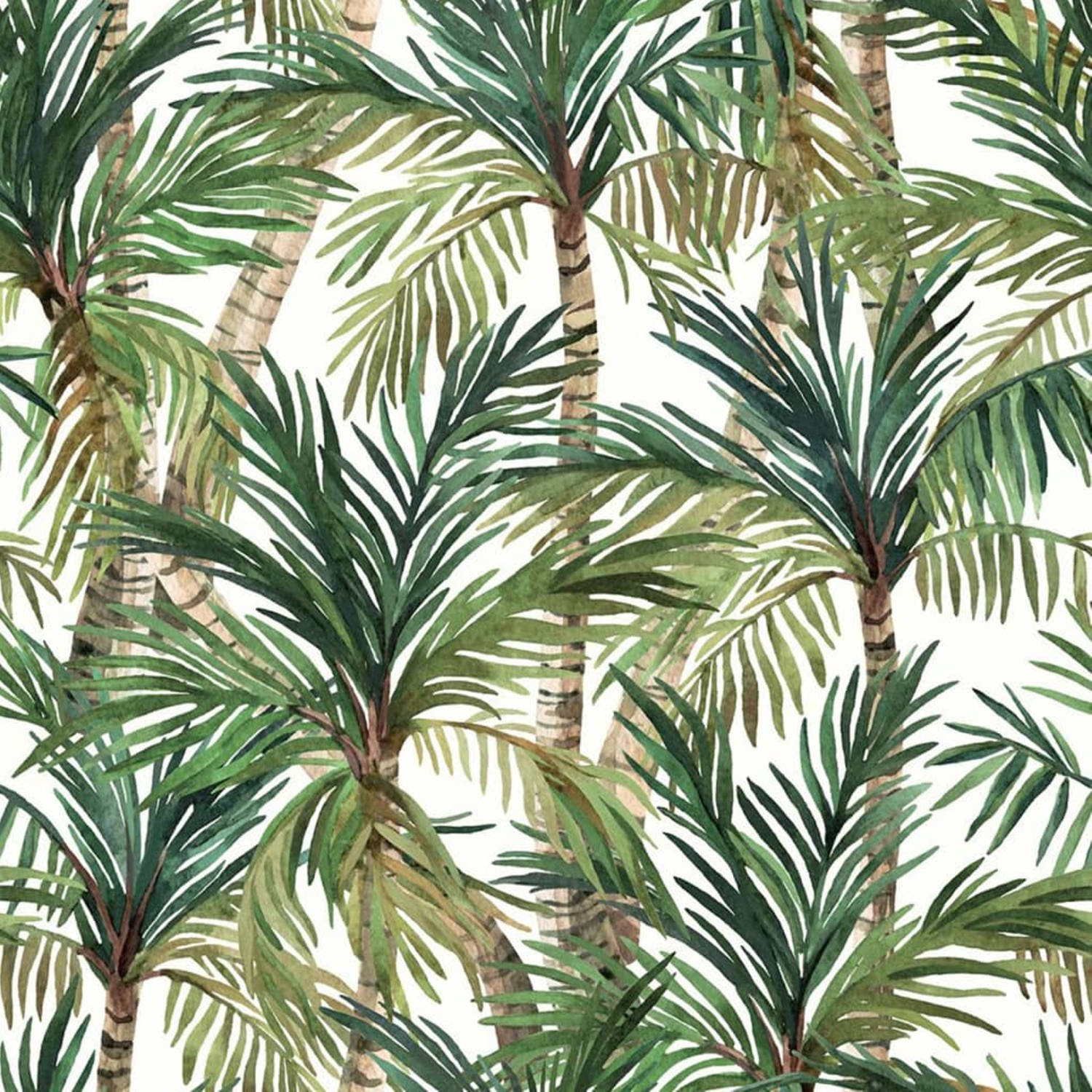 DUTCH WALLCOVERINGS Behang Palm Trees groen en wit