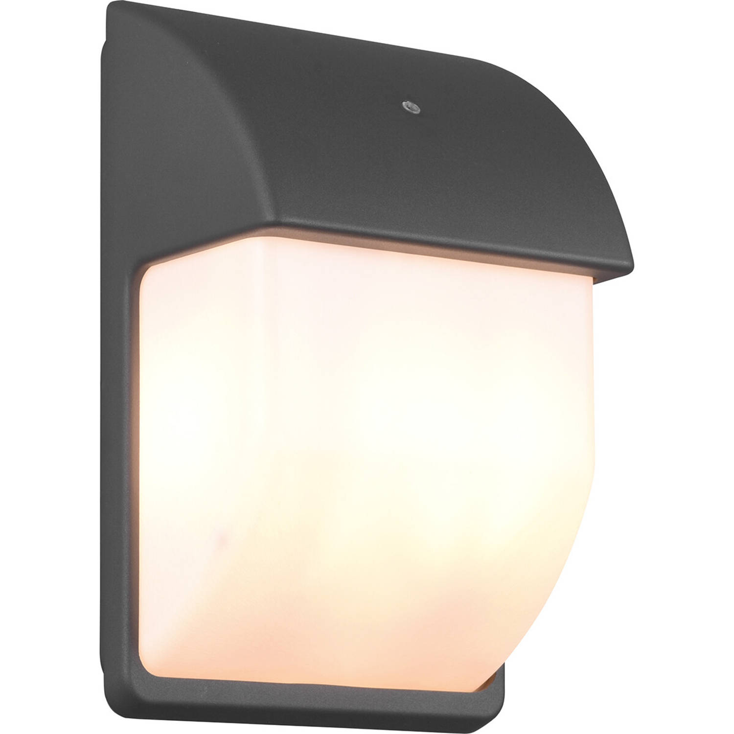 Vakman Gedeeltelijk Waardeloos LED Tuinverlichting met Dag en Nacht Sensor - Buitenlamp - Trion Menaki -  E14 Fitting - Spatwaterdicht IP44 - Ovaal - | Blokker