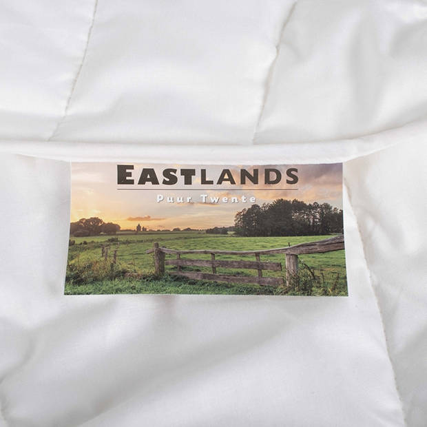 Eastlands Regge Synthetisch Enkel Dekbed-Lits-Jumeaux (240x220 cm)