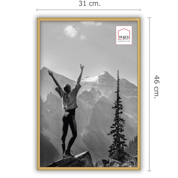 HAES DECO - Kunststof fotolijst 30x45 goud Easy Frame - EF6G