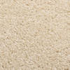 The Living Store Karakteristiek Vloerkleed - 200 x 290 cm - Beige - 100% PP