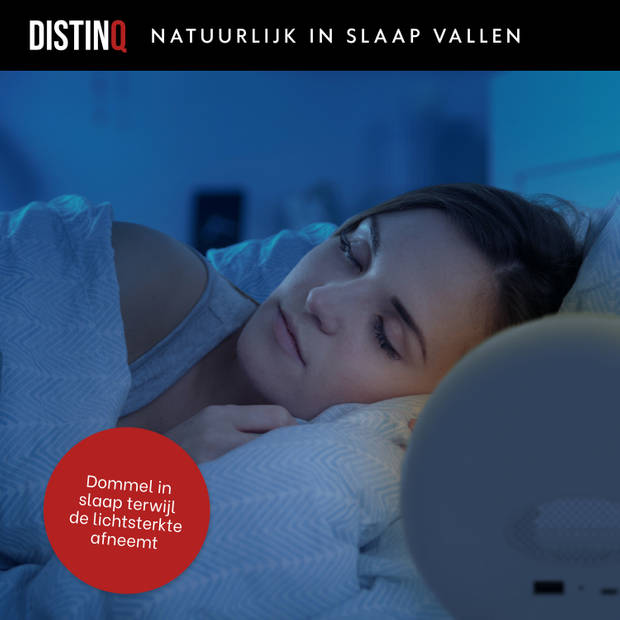 DistinQ Wake-Up Light Grijs – Wekkerradio met dubbele wektijd – USB aansluiting