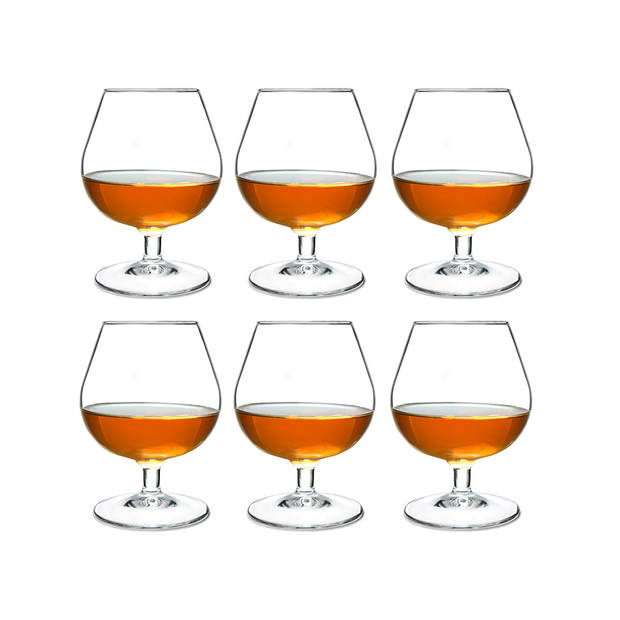 Arcoroc Cognac Glazen Degustation 250 ml - 6 Stuks