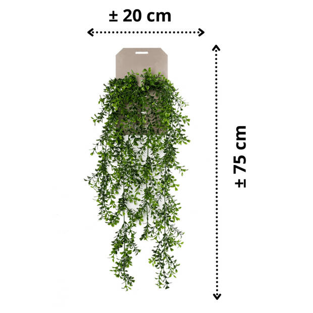 Emerald kunstplant/hangplant - Buxus - groen - 75 cm lang - Kunstplanten