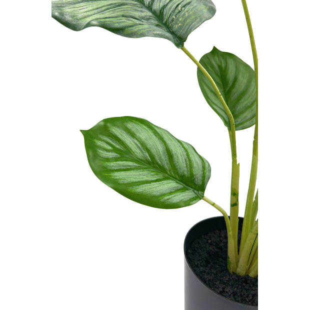 Emerald Kunstplant in pot calathea orbifolia 45 cm