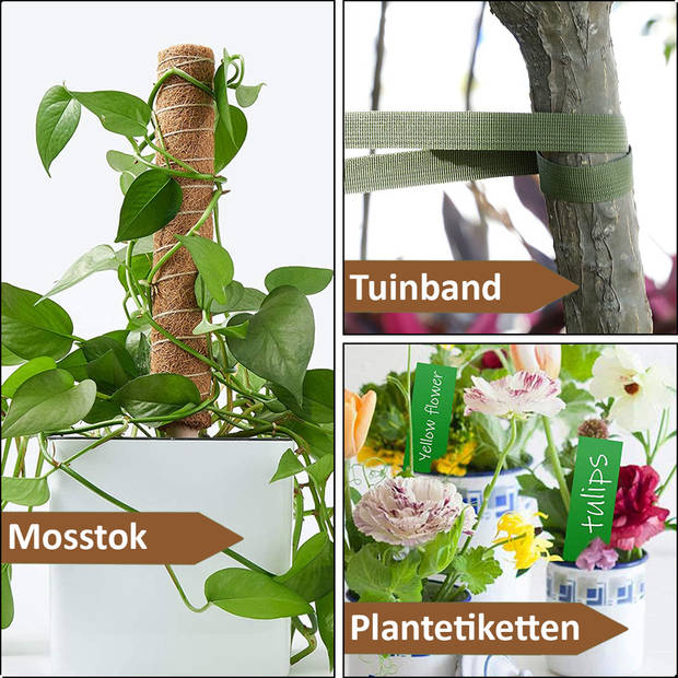 AWEMOZ Mosstok 2x30cm - Verlengbaar tot 45cm - Plantensteun - Bamboestokken - Plantenstok - Kamerplanten