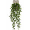 Emerald kunstplant/hangplant - Buxus - groen - 75 cm lang - Kunstplanten