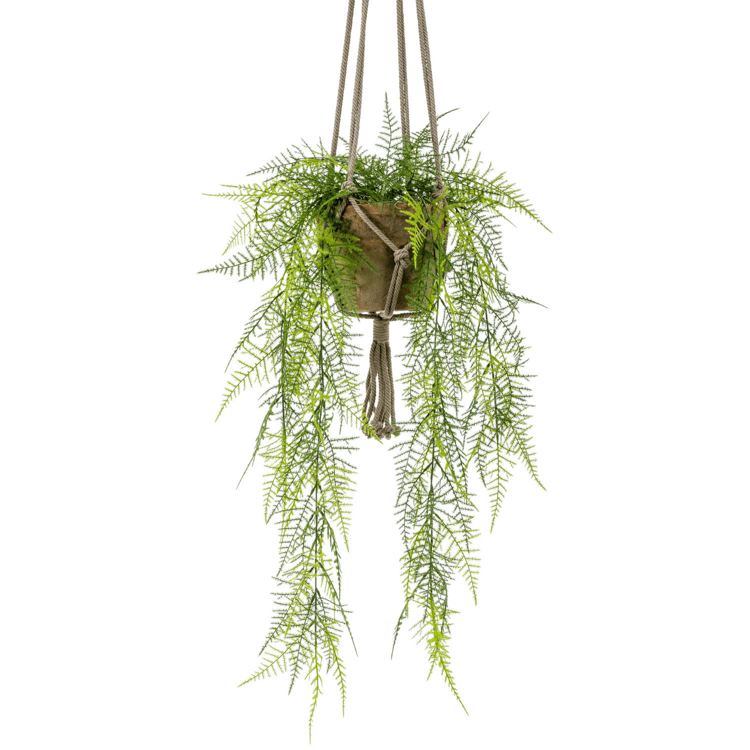 Wants&Needs Kunstplant Hangend Asparagus Plumosus 80cm