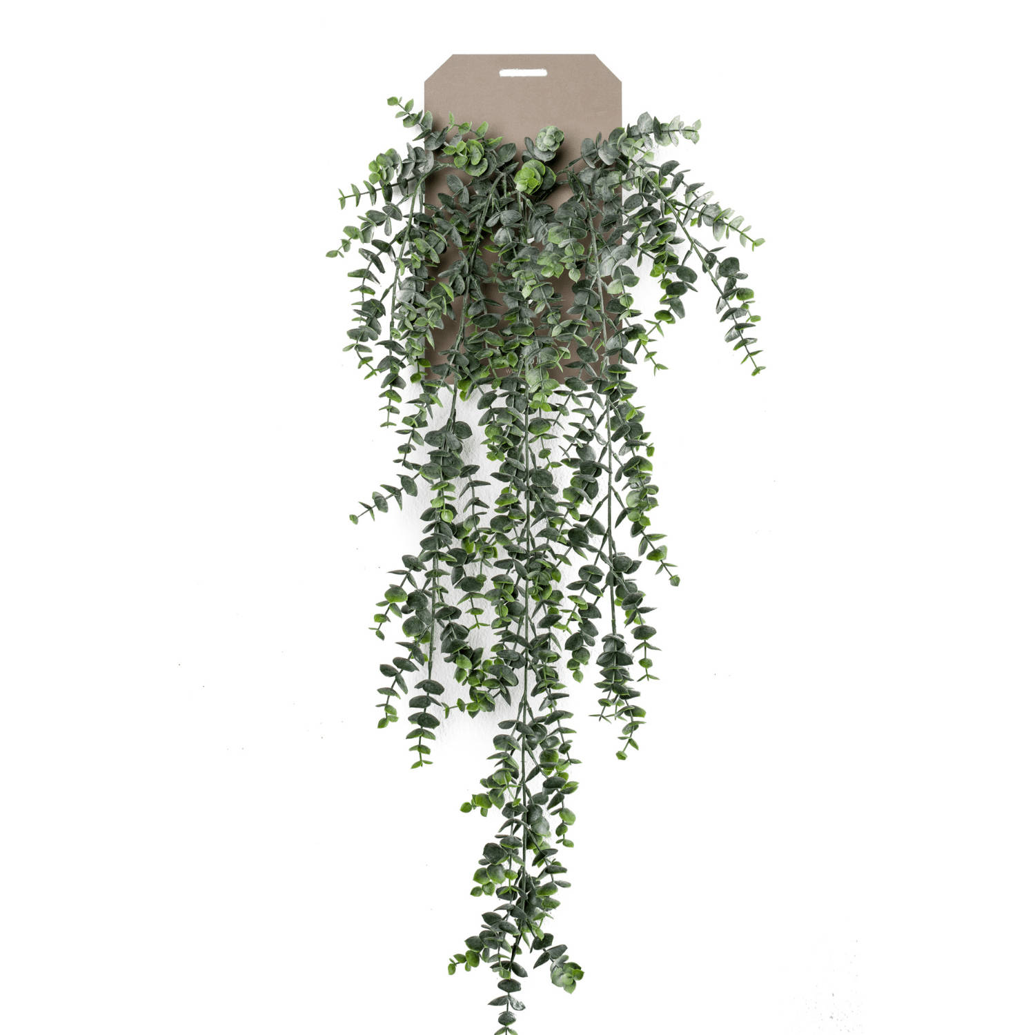 Eucalyptus Kunst Hangplant 75cm