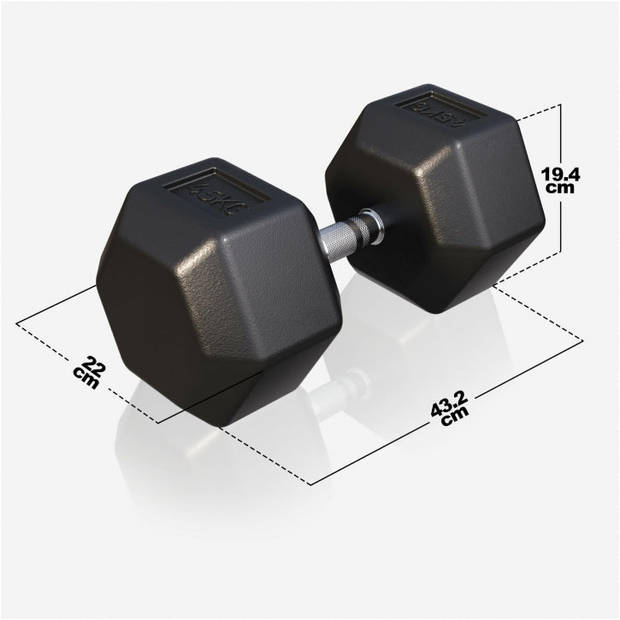 Gorilla Sports Dumbbell - 1 x 45 kg - Gietijzer - Hexagon - Halter