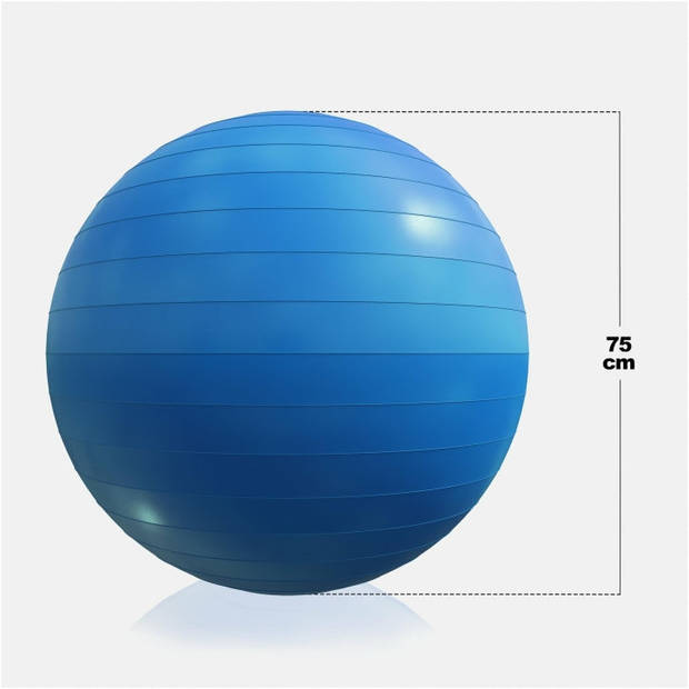 Gorilla Sports Fitness bal Blauw 75 cm - inclusief pomp - belastbaar tot 500 kg