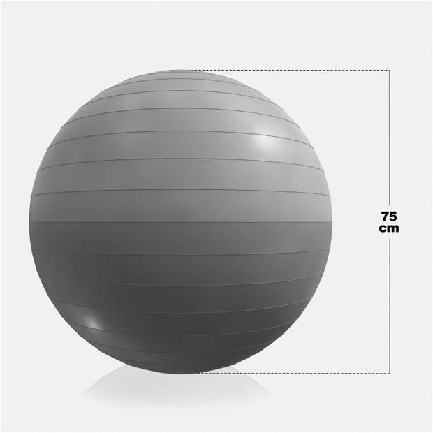 Fitnessbal Ø 75 cm - incl. Pomp - Gym bal - Yoga - Belastbaar tot 500 kg - Grijs