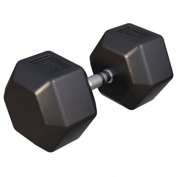 Gorilla Sports Dumbbell - 1 x 42,5 kg - Gietijzer - Hexagon - Halter