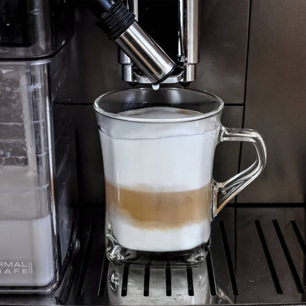 Luxe Latte Macchiato - Koffieglazen - Cappuccino Glazen - Cappuccino Kop - Latte Glazen - 250 ML - Set Van 6