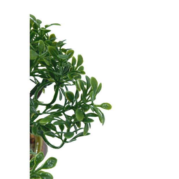 Bonsai Mini Kunstplant 19cm