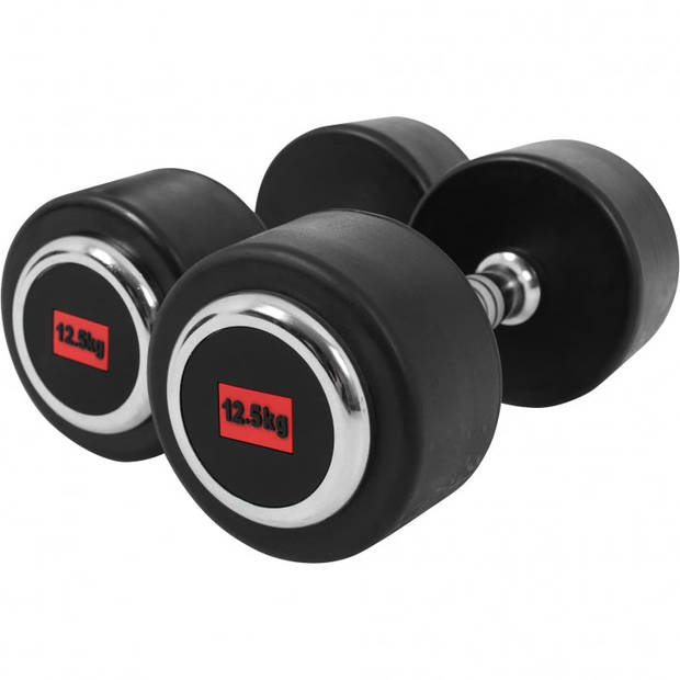 Gorilla Sports Dumbbell set 25 kg - Professionele Halters - 2 x 12,5 kg