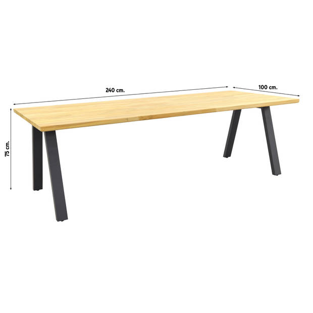 Taste Ambassador tuintafel - 240x100 cm.