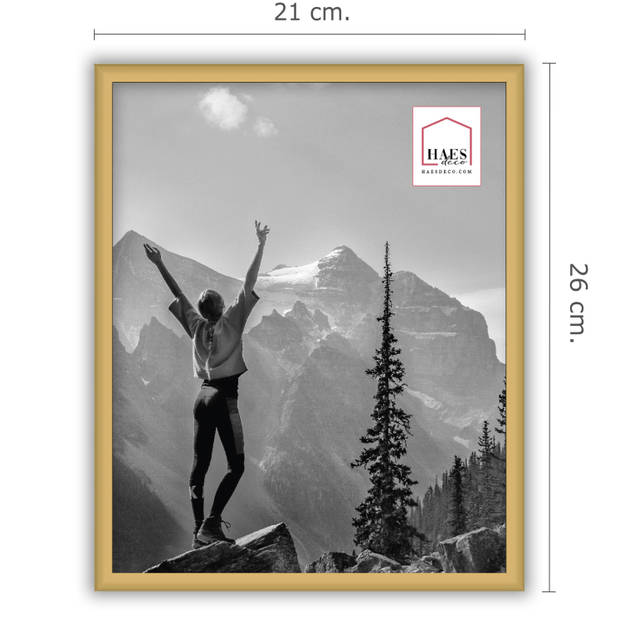 HAES DECO - Kunststof fotolijst 20x25 goud Easy Frame - EF12G