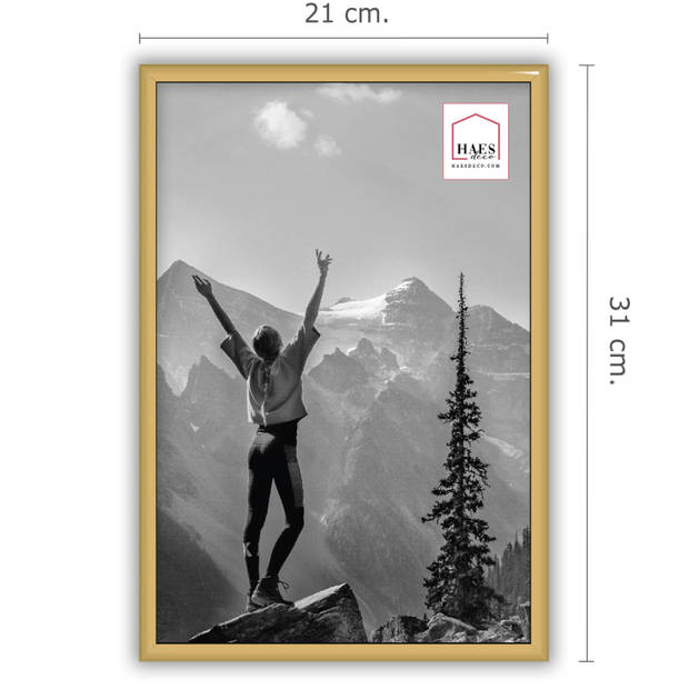 HAES DECO - Kunststof fotolijst 20x30 goud Easy Frame - EF4G
