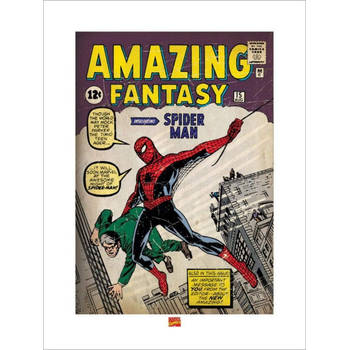 Kunstdruk Spider-Man Issue 1 60x80cm